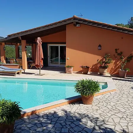 Ulivi * Capoliveri (Isola d'Elba)